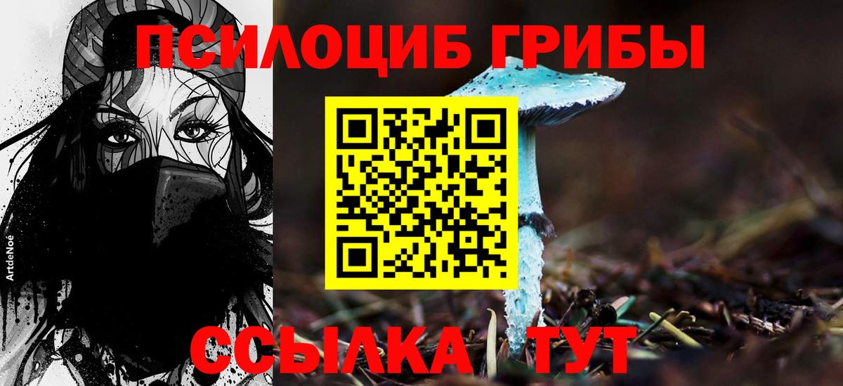 Тавда  где купить   Вход с VPN  Галлюциногенные грибы прущие грибы 