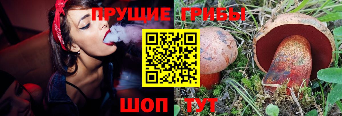 Галлюциногенные грибы мицелий Тавда